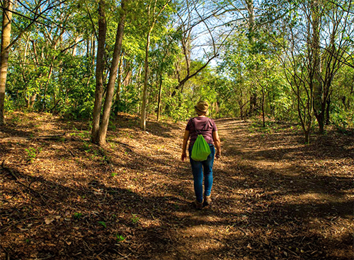 Ufrj Recebe Selo Ods Educa O Pelo Segundo Ano Consecutivo Parque